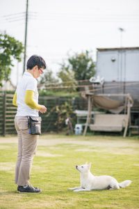 0495dog